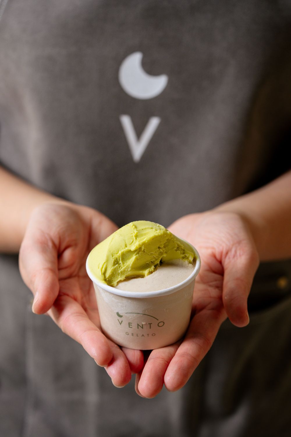 穿著 VENTO GELATO 圍裙的店員雙手捧著一杯義式冰淇淋